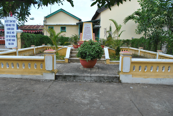Cay thong mot